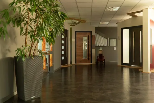 Moderne Eingangstüren Ausstellung mit verschiedenen Haustür-Modellen und großer Pflanze.
